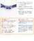 【当商品送料無料】スイムゴーグル スワンズ SWANS 水中メガネ 水泳 ゴーグル ノンクッション FINA公認 通販 ミラー レンズ スイミング