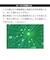 【当商品送料無料】ハイテクナノプロテクター 250ml タラゴ TARRAGO 通販 防水スプレー 強力防水 撥水 はっ水 汚れ防止 雨対策 雪対策