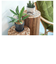【当商品送料無料】植木鉢 プラスチック おしゃれ 通販 鉢カバー 鉢 4号 プランター 小型 鉢植え ポット アーバンプランツポット