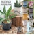 【当商品送料無料】植木鉢 プラスチック おしゃれ 通販 鉢カバー 鉢 4号 プランター 小型 鉢植え ポット アーバンプランツポット