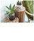 【当商品送料無料】植木鉢 プラスチック おしゃれ 通販 鉢カバー 鉢 4号 プランター 小型 鉢植え ポット アーバンプランツポット
