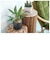 【当商品送料無料】植木鉢 プラスチック おしゃれ 通販 鉢カバー 鉢 4号 プランター 小型 鉢植え ポット アーバンプランツポット