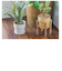 【当商品送料無料】植木鉢 プラスチック おしゃれ 通販 鉢カバー 鉢 4号 プランター 小型 鉢植え ポット アーバンプランツポット
