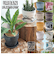 【当商品送料無料】植木鉢 プラスチック おしゃれ 通販 鉢カバー 鉢 4号 プランター 小型 鉢植え ポット アーバンプランツポット