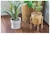 【当商品送料無料】植木鉢 プラスチック おしゃれ 通販 鉢カバー 鉢 4号 プランター 小型 鉢植え ポット アーバンプランツポット
