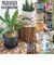 【当商品送料無料】植木鉢 プラスチック おしゃれ 通販 鉢カバー 鉢 4号 プランター 小型 鉢植え ポット アーバンプランツポット