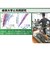 【当商品送料無料】グッズ 通販 骨盤ベルト Vi-Bel SPORTS ヴィーベル ベルト スポーツ用 ヨガ 自転車 ゴルフ 体幹 トレーニング