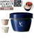 【当商品送料無料】アスベル 保温弁当箱 通販 弁当箱 2段 ランタス カフェ丼 620ml 保温 カフェ 保冷 女子 大人 男子 レンジ対応
