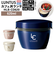 【当商品送料無料】アスベル 保温弁当箱 通販 弁当箱 2段 ランタス カフェ丼 620ml 保温 カフェ 保冷 女子 大人 男子 レンジ対応