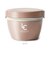【当商品送料無料】アスベル 保温弁当箱 通販 弁当箱 2段 ランタス カフェ丼 620ml 保温 カフェ 保冷 女子 大人 男子 レンジ対応