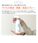【当商品送料無料】除菌スプレー 日本製 通販 消臭スプレー ウィルス除去スプレー 消臭除菌スプレー ウィルス除菌スプレー スプレー ウィルス対策
