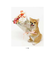 【当商品送料無料】花 ギフト 通販 ブーケ 造花 ct触媒 エアクリーナー 抗菌 消臭 空気清浄 ミニョン フラワーギフト インテリア 置物 雑貨