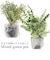 【当商品送料無料】フェイクグリーン ミニ 通販 造花 観葉植物 イミテーショングリーン インテリアグリーン サキュレント バーチャルグリーン 卓上