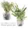 【当商品送料無料】フェイクグリーン ミニ 通販 造花 観葉植物 イミテーショングリーン インテリアグリーン サキュレント バーチャルグリーン 卓上