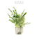 【当商品送料無料】フェイクグリーン ミニ 通販 造花 観葉植物 イミテーショングリーン インテリアグリーン サキュレント バーチャルグリーン 卓上