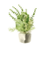 【当商品送料無料】フェイクグリーン ミニ 通販 造花 観葉植物 イミテーショングリーン インテリアグリーン サキュレント バーチャルグリーン 卓上