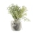 【当商品送料無料】フェイクグリーン ミニ 通販 造花 観葉植物 イミテーショングリーン インテリアグリーン サキュレント バーチャルグリーン 卓上
