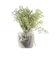【当商品送料無料】フェイクグリーン ミニ 通販 造花 観葉植物 イミテーショングリーン インテリアグリーン サキュレント バーチャルグリーン 卓上