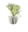 【当商品送料無料】フェイクグリーン ミニ 通販 造花 観葉植物 イミテーショングリーン インテリアグリーン サキュレント バーチャルグリーン 卓上