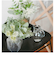 【当商品送料無料】フェイクグリーン ミニ 通販 造花 観葉植物 イミテーショングリーン インテリアグリーン サキュレント バーチャルグリーン 卓上