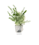 【当商品送料無料】フェイクグリーン ミニ 通販 造花 観葉植物 イミテーショングリーン インテリアグリーン サキュレント バーチャルグリーン 卓上