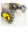 【当商品送料無料】ベビー 靴下 通販 ソックス 恐竜 サメ シマリス POMPKINS ポプキンズ 動物 アニマル 9～12cm