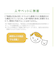 【当商品送料無料】多肉植物 サボテン フェイク 通販 おしゃれ 小さい CT触媒 消臭アーティフィシャルグリーン サキュレントリフレリウム