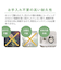 【当商品送料無料】多肉植物 サボテン フェイク 通販 おしゃれ 小さい CT触媒 消臭アーティフィシャルグリーン サキュレントリフレリウム
