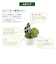 【当商品送料無料】多肉植物 サボテン フェイク 通販 おしゃれ 小さい CT触媒 消臭アーティフィシャルグリーン サキュレントリフレリウム