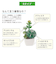 【当商品送料無料】多肉植物 サボテン フェイク 通販 おしゃれ 小さい CT触媒 消臭アーティフィシャルグリーン サキュレントリフレリウム