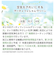 【当商品送料無料】フェイクグリーン 壁掛け 通販 観葉植物 フェイク 壁 インテリア ct触媒 人工観葉植物 人工植物 消臭 抗菌 防汚