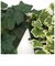 【当商品送料無料】フェイクグリーン 壁掛け 通販 観葉植物 フェイク 壁 インテリア ct触媒 人工観葉植物 人工植物 消臭 抗菌 防汚