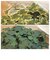 【当商品送料無料】フェイクグリーン 壁掛け 通販 観葉植物 フェイク 壁 インテリア ct触媒 人工観葉植物 人工植物 消臭 抗菌 防汚
