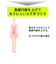 【当商品送料無料】体幹 スリッパ 通販 ソールバランス コロン 体幹トレーニング アルファックス バランス ダイエットスリッパ 健康サンダル