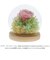 【当商品送料無料】お供え プリザーブドフラワー ガラスドーム 通販 四季 暦  供養 仏花 供え花 献花 ドームタイプ ドーム プリザ 長持ち 飾り