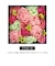 【当商品送料無料】入浴剤 ギフト お洒落 通販 母の日 花 花束 バスペタル 贈り物 プレゼント ギフトボックス お祝い 記念日 記念品 Champ
