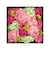 【当商品送料無料】入浴剤 ギフト お洒落 通販 母の日 花 花束 バスペタル 贈り物 プレゼント ギフトボックス お祝い 記念日 記念品 Champ