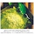 【当商品送料無料】フェイスパック 北尾化粧品部 通販 スリーピングマスク KITAO MATCHA 塗るシートマスク 保湿 ナイトクリーム