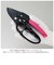 【当商品送料無料】剪定ばさみ ラチェット式 通販 剪定バサミ 剪定 ハサミ はさみ 剪定鋏 剪定はさみ 剪定ハサミ 枝切りはさみ 枝切りバサミ 庭木