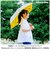 【当商品送料無料】mikuni 三国 傘 折りたたみ傘 折り畳み傘 50cm 通販 晴雨兼用 晴雨兼用傘 日傘 雨傘 かさ 婦人傘 レディース 軽量