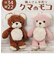【当商品送料無料】クマのモコ ぬいぐるみ M 通販 マスコット 動物 アニマル 人形 ドール おもちゃ キャラクター キャラ キッズ 子供 子ども