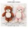 【当商品送料無料】クマのモコ ぬいぐるみ M 通販 マスコット 動物 アニマル 人形 ドール おもちゃ キャラクター キャラ キッズ 子供 子ども