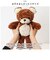 【当商品送料無料】クマのモコ ぬいぐるみ M 通販 マスコット 動物 アニマル 人形 ドール おもちゃ キャラクター キャラ キッズ 子供 子ども