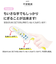 【当商品送料無料】スケーター skater キャラクター 子供包丁 通販 包丁 ナイフ 子ども包丁 こども包丁 キッズナイフ 子供 左右兼用 右利き