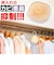 【当商品送料無料】ハイパワーバイオ 押入れのカビきれい 通販 コジット 防カビ 消臭 クローゼット カビ防止 カビ予防 押し入れ 押入れ 押入