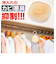 【当商品送料無料】ハイパワーバイオ 押入れのカビきれい 通販 コジット 防カビ 消臭 クローゼット カビ防止 カビ予防 押し入れ 押入れ 押入