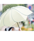 【当商品送料無料】ビコーズ 傘 because 通販 日傘 遮光 長傘 晴雨兼用 雨傘 晴雨兼用傘 UVカット 手開き 50cm 50センチ 軽量