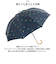 【当商品送料無料】because ビコーズ 晴雨兼用傘 長傘 遮熱性 通販 傘 雨傘 日傘 晴雨兼用 UVカット 遮光 紫外線対策 紫外線カット