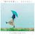【当商品送料無料】折りたたみ傘 レディース 晴雨兼用 通販 55cm 折り畳み傘 折畳傘 傘 晴雨両用 耐風傘 amusant sous la