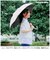 【当商品送料無料】傘 レディース 長傘 通販 50cm 晴雨兼用傘 雨傘 長傘 花びら傘 ワンタッチ傘 日傘 かさ カサ おしゃれ 無地 UVカット